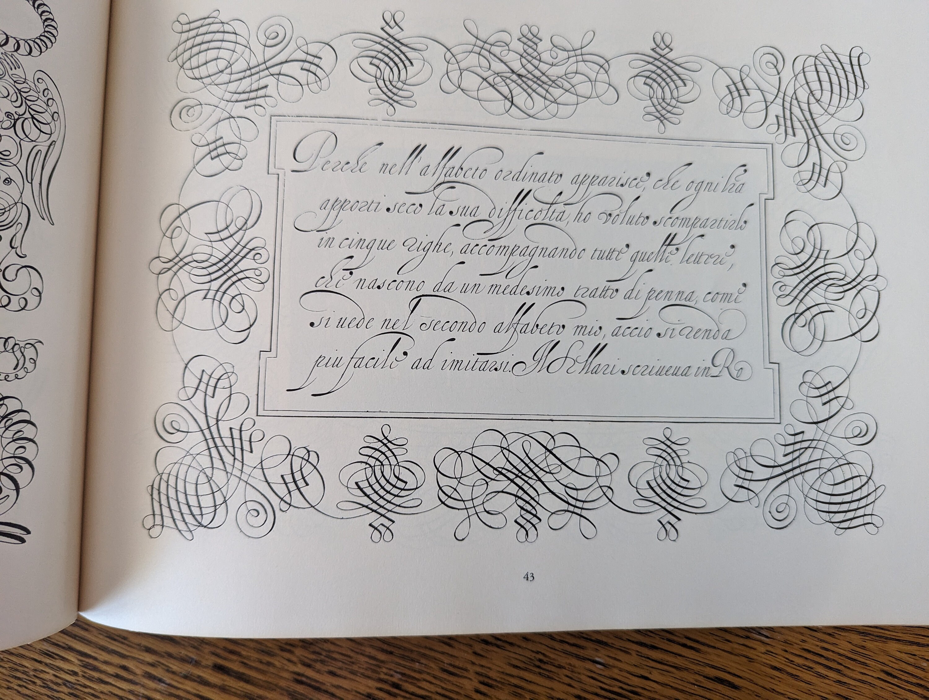Calligraphy and Ornamentation by Edmund V. Gillian Jr./ A Book of ...