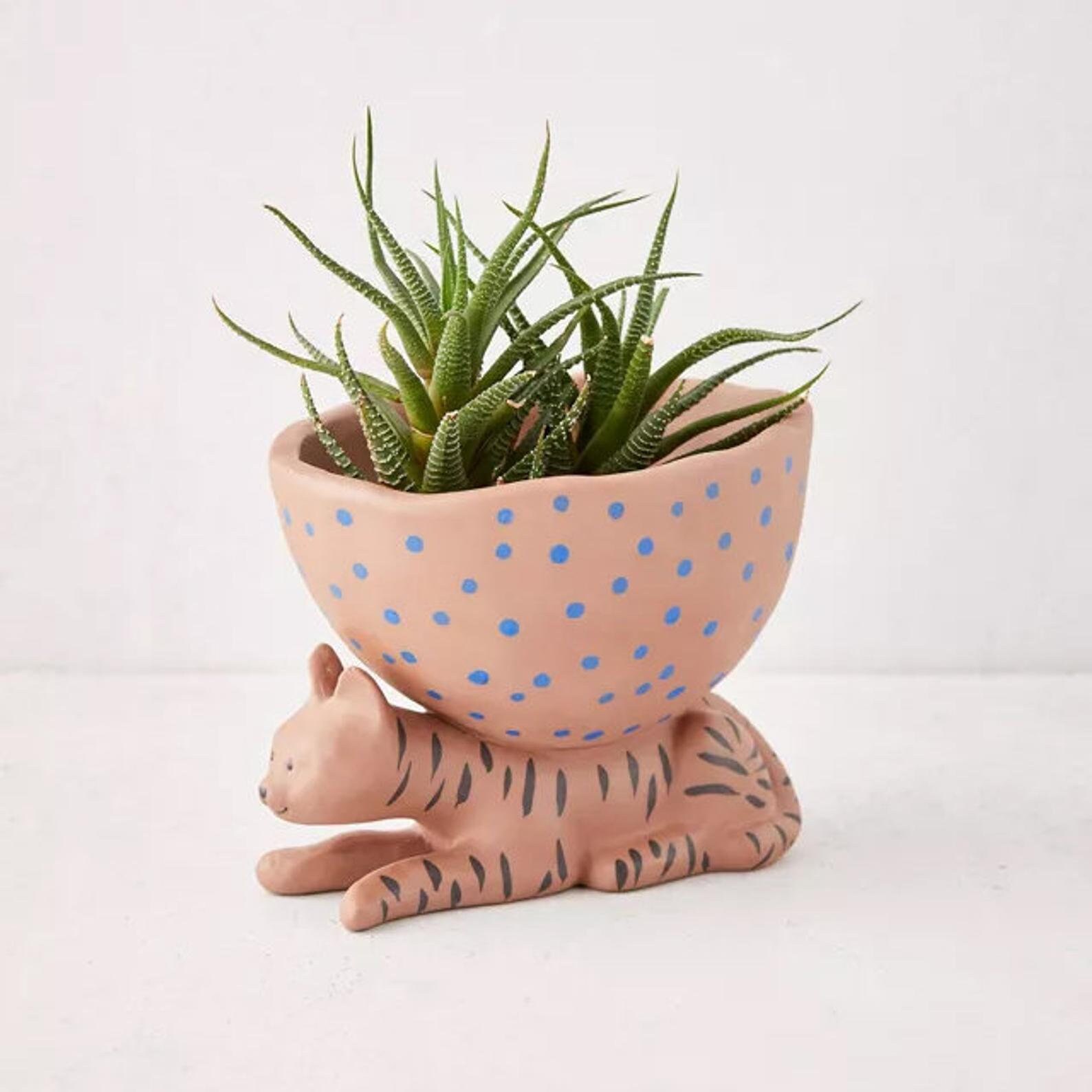 Striped Tiger Planter Pot Spotted Succulent Planter Ceramic Etsy