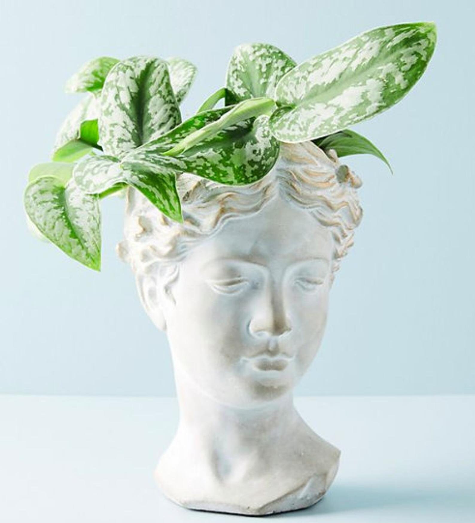 Greek Goddess Head Planter Versatile Art Deco Vase Ancient Etsy