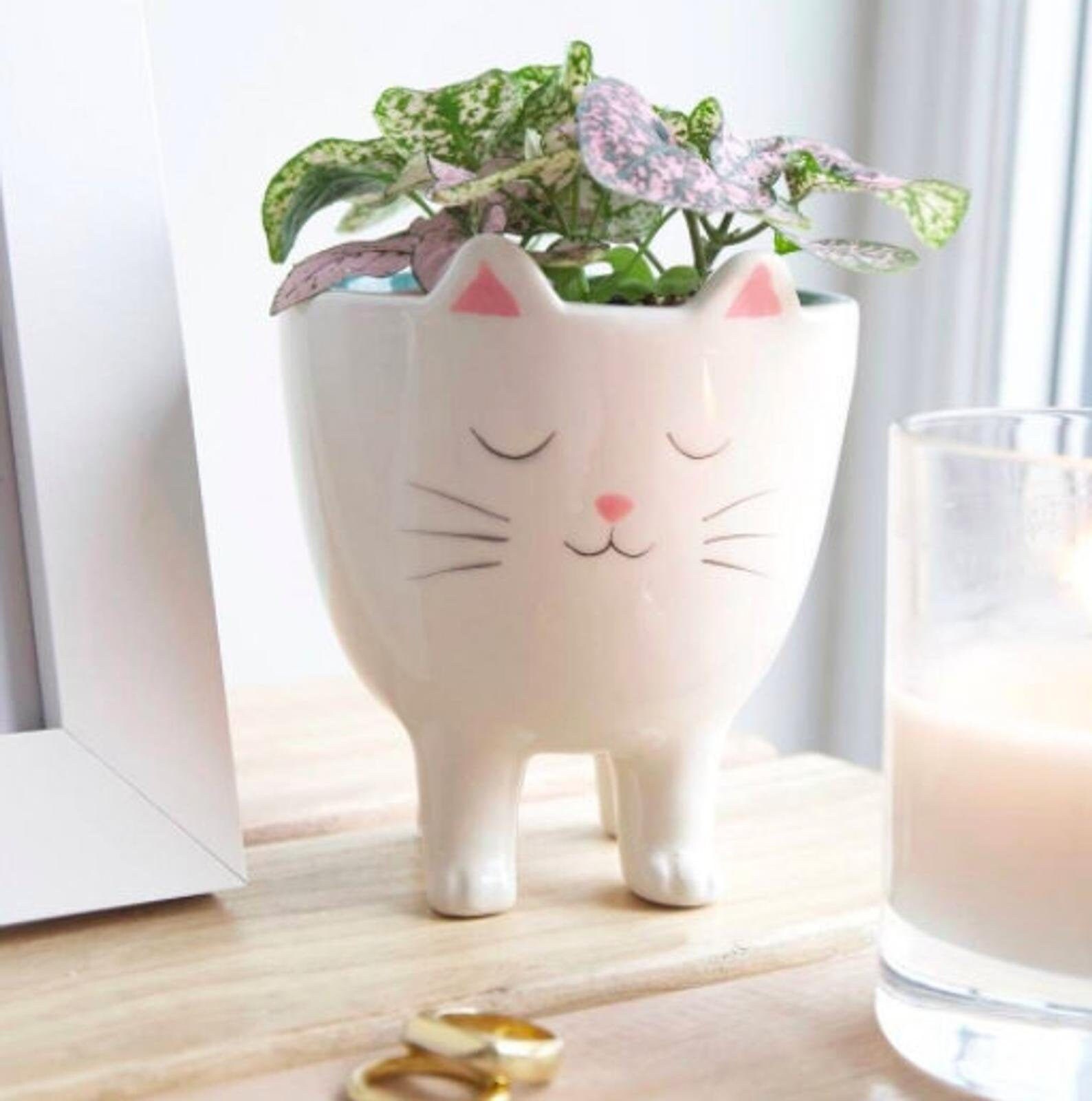 Cat Planter Pot Kitty Succulent Planter Ceramic Planter Etsy