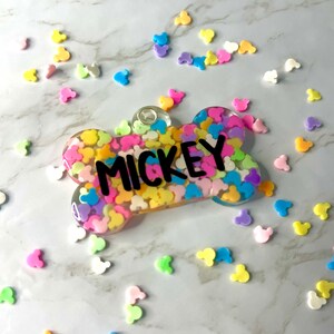 Rainbow Mouse Tag