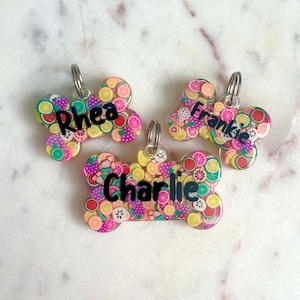 Fruit Salad Pet Tag