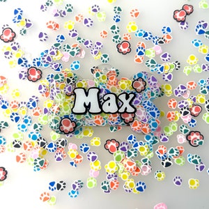 Rainbow Paw Pet Tag