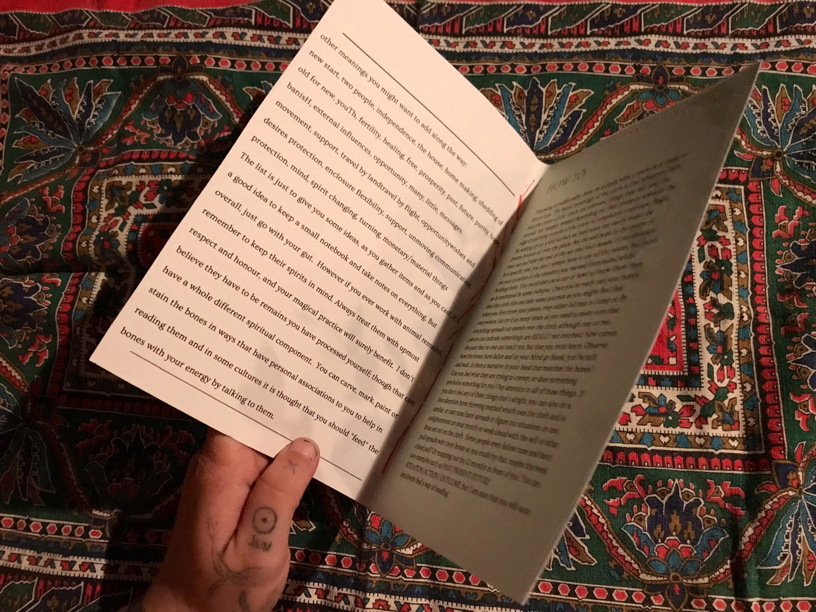 Throwing Bones Guide Book A Guide to Throwing Bones Zine Etsy UK