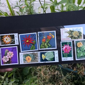9 set di francobolli di cactus, effimeri vintage, diario spazzatura, bulletjournal, diario di viaggio, decoupage, cancelleria per matrimoni, invito