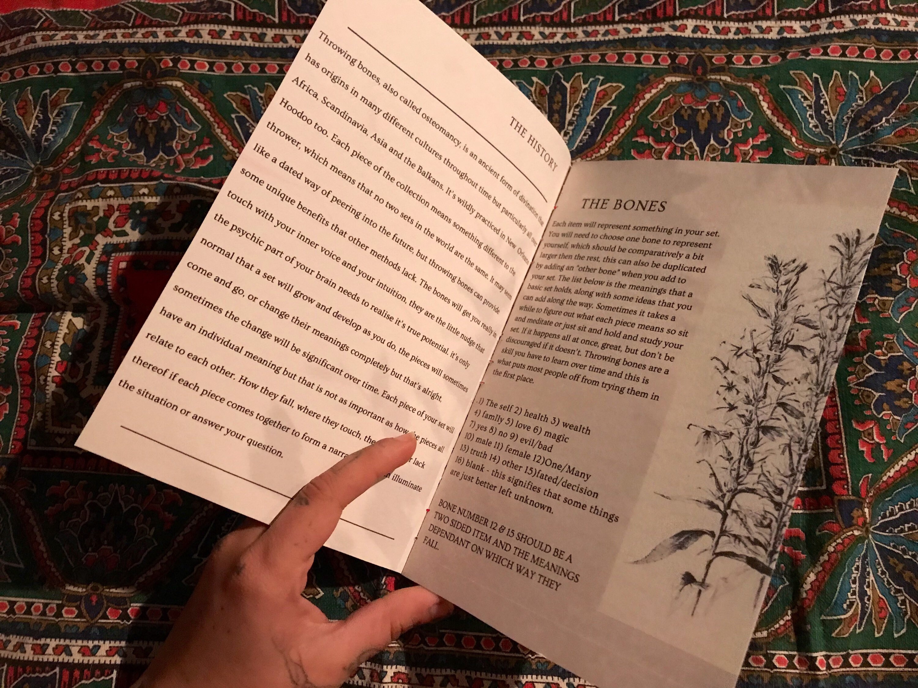 Throwing Bones Guide Book A Guide to Throwing Bones Zine Etsy UK