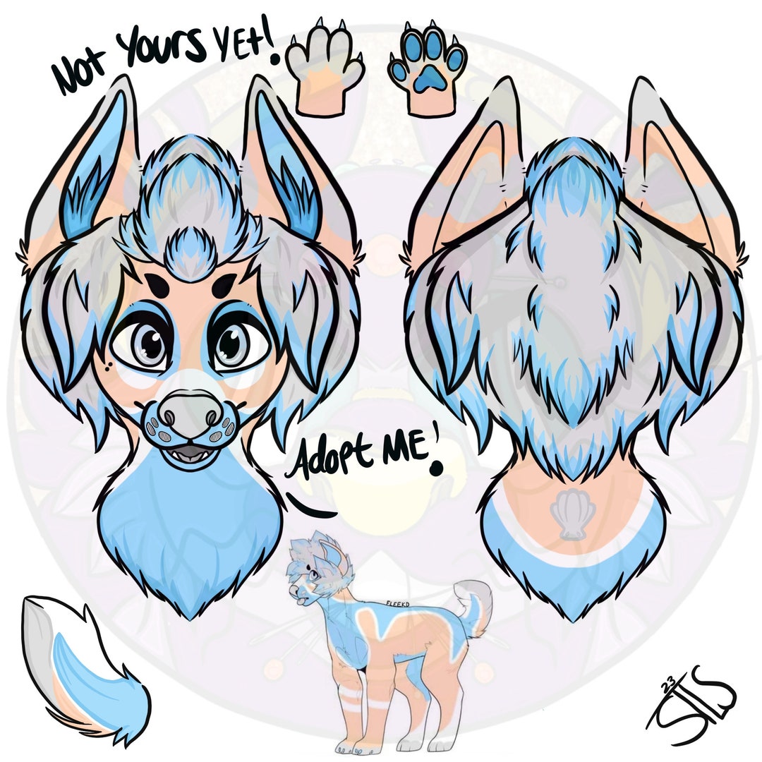 Salty Dog Perfect Partial Adopt Etsy