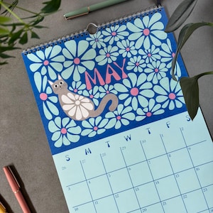 May include: A spiral-bound wall calendar for May, featuring a blue background with white and pink daisy-like flowers. A gray cat with a white belly is lounging on the calendar. A green pen rests near the calendar.