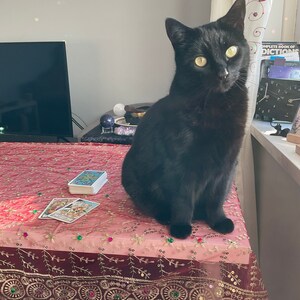 Specific question tarot reading
