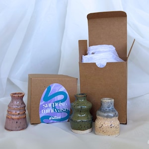 Peut inclure: Trois petits vases en céramique avec des glaçures variées en mauve, vert olive et beige moucheté. Une boîte en carton brun se trouve derrière avec une étiquette violette portant l'inscription surprise mini vase drifted, et une boîte ouverte contient du papier de soie blanc.