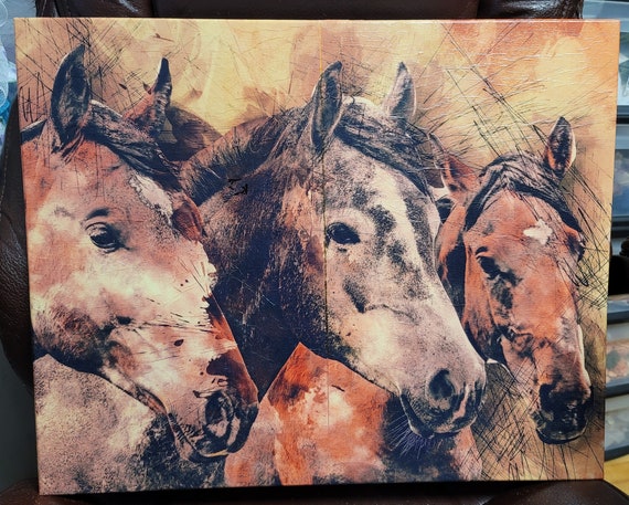 Horses Stretched Canvas Print