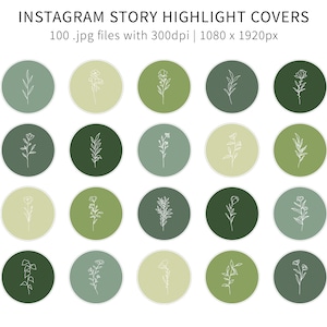 Copertine con storie di Instagram in evidenza botaniche / Icone a tema verde / Disegni lineari di piante / Tonalità di verde / Arte sui social media