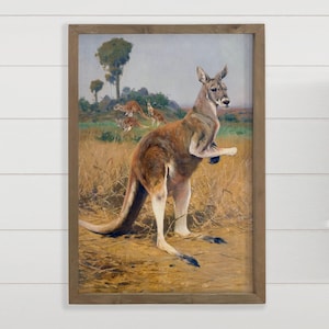 Australian Wall Decor - Outback Kangaroos - Wildlife Canvas Art - Wood Framed Decor