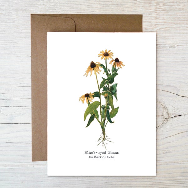 Plantable Wildflower Seed Card ~ Botanical Seed Card ~ Painted Image of Black-eyed Susan ~ Eco Friendly Blank Card