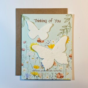 Carte papillon à planter ~ Je pense à vous ~ Carte botanique ~ Carte fleurs sauvages ~ Intérieur vierge ~ Respectueux de l'environnement ~ Durable