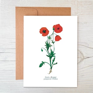 Cartão Plantável | Cartão Botânico | Cartão Ecológico | Cartão de Flores Silvestres! Cartão de Sementes | Cartão Sustentável | Papoula | Em Branco por Dentro