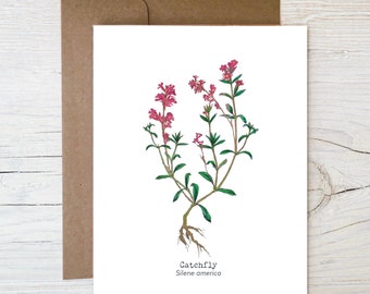 Plantable Wildflower Seed Card ~ Botanical Seed Greeting Card ~ Painting of Catchfly ~ Eco Friendly Blank Card