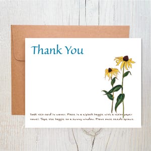 Cartes de graines à planter | de remerciements | Susans aux yeux noirs | Cartes Fleurs sauvages | Cartes Durables | Carte écologique | Nourrir les abeilles