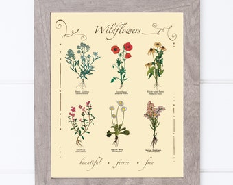 Wildflower Giclee Print ~ Wildflower Sampler Art ~ Botanical Wall Art ~ Wildflower Art Print