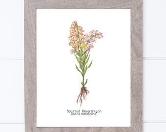 Botanical Fine Art Print ~ Wildflower Giclee Print ~ Snapdragon Wall Art ~ Dining Room Decor