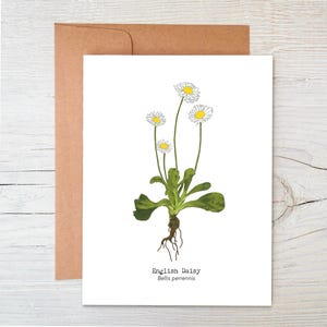 de fleurs sauvages | Carte de voeux botanique | Carte à planter | Marguerite anglaise | Carte écologique | pour notes florale | Carte durable