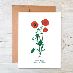 Juego de tarjetas botánicas / Tarjetas con semillas plantables / Tarjetas de felicitación con flores silvestres / Tarjetas sostenibles / Tarjetas ecológicas / Paquete variado
