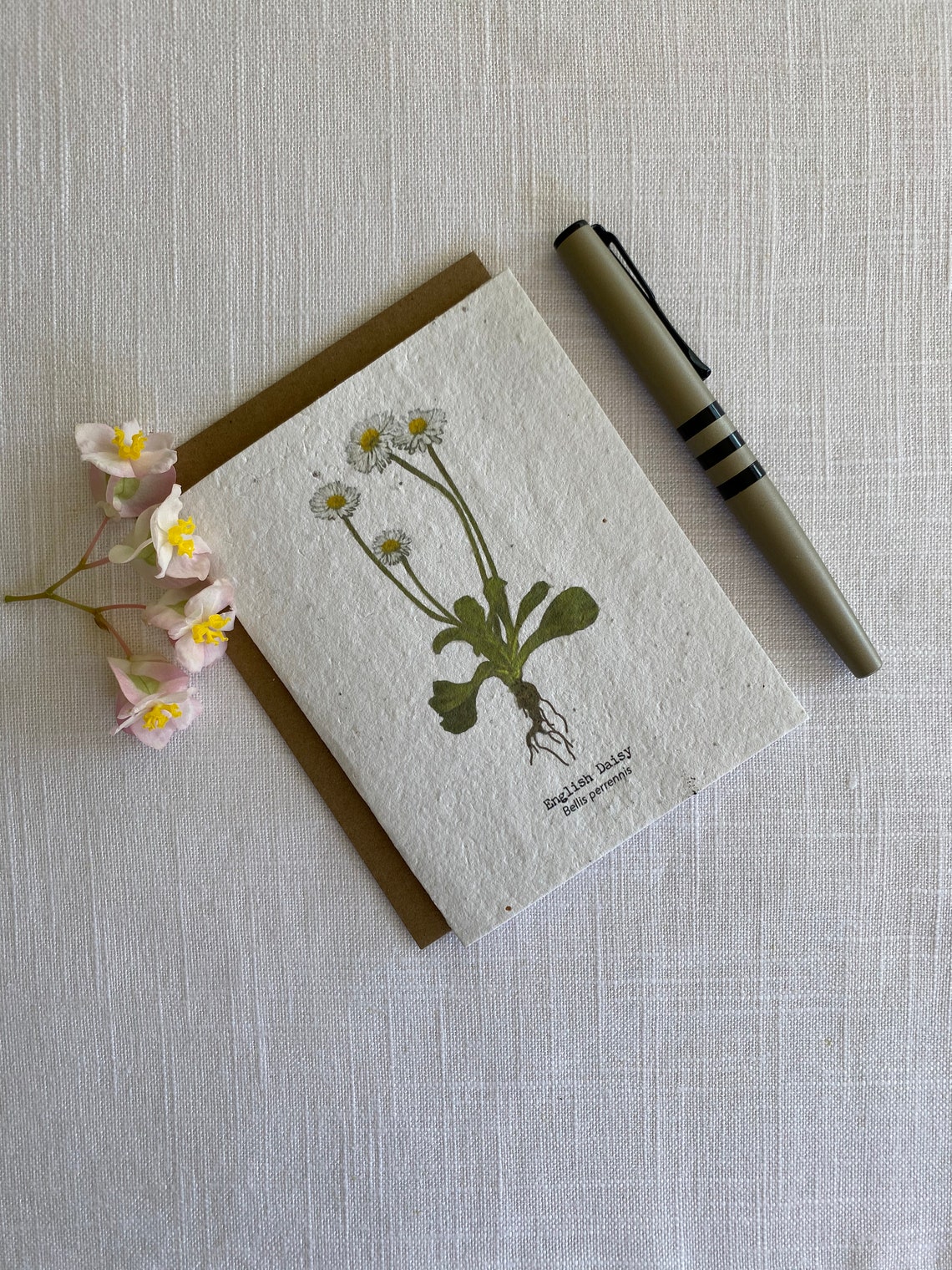 Plantable Wildflower Seed Card Botanical Seed Card English Etsy