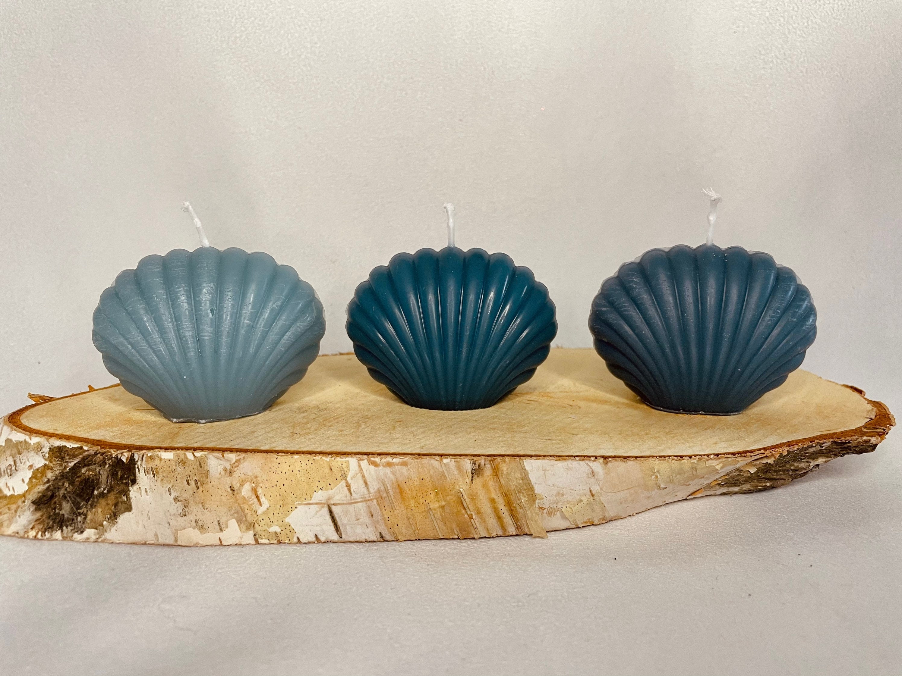 Bougies Coquillage