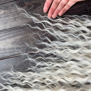 May include: A close-up of long, wavy, white hair on a dark wood background.