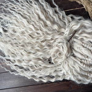 May include: A close-up of a bundle of white curly hair extensions. The hair is arranged in a loose braid and is lying on a dark wooden surface.
