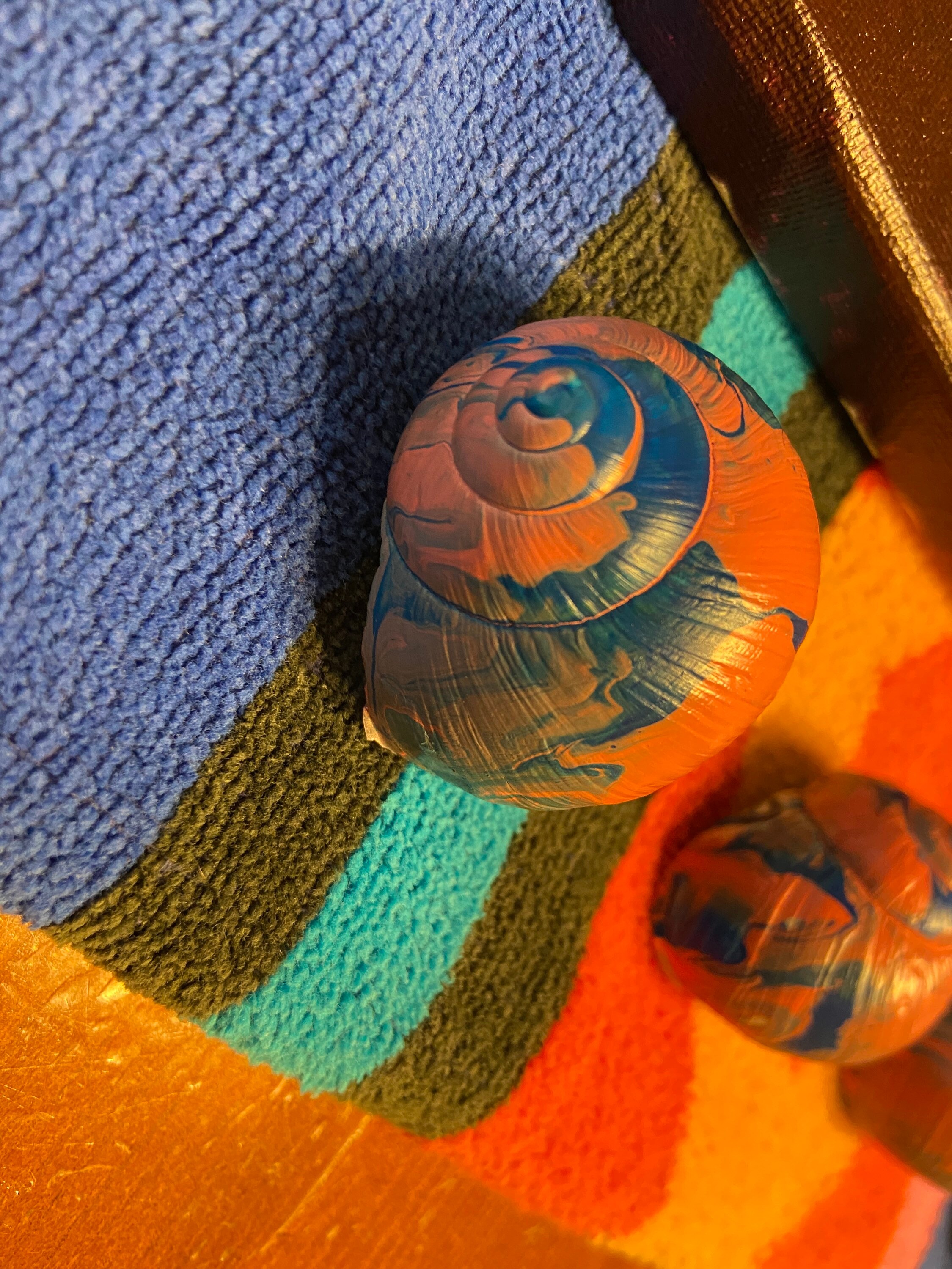 Pour Painted Apple Snail Shell Etsy