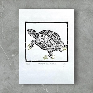 Eastern Box Turtle Lino Print: Hand-Printed Nature Art