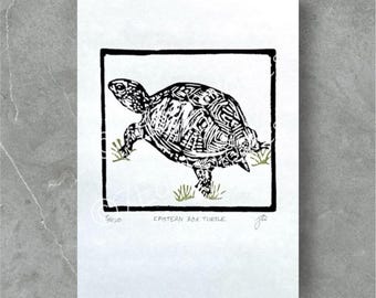 Eastern Box Turtle Lino Print: Hand-Printed Nature Art