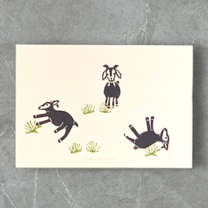 May include: A white card with a black and white illustration of three goats. Two goats are running and one is lying on its back. The goats are surrounded by green grass.
