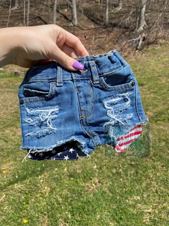 American Flag Distressed Denim Shorts 