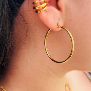 18K Gold Plated Thin Hoop Earrings: Waterproof Stainless Steel
