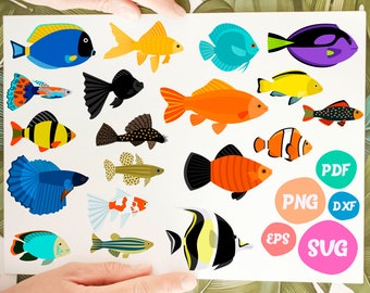 Download Cute Fish Svg Etsy