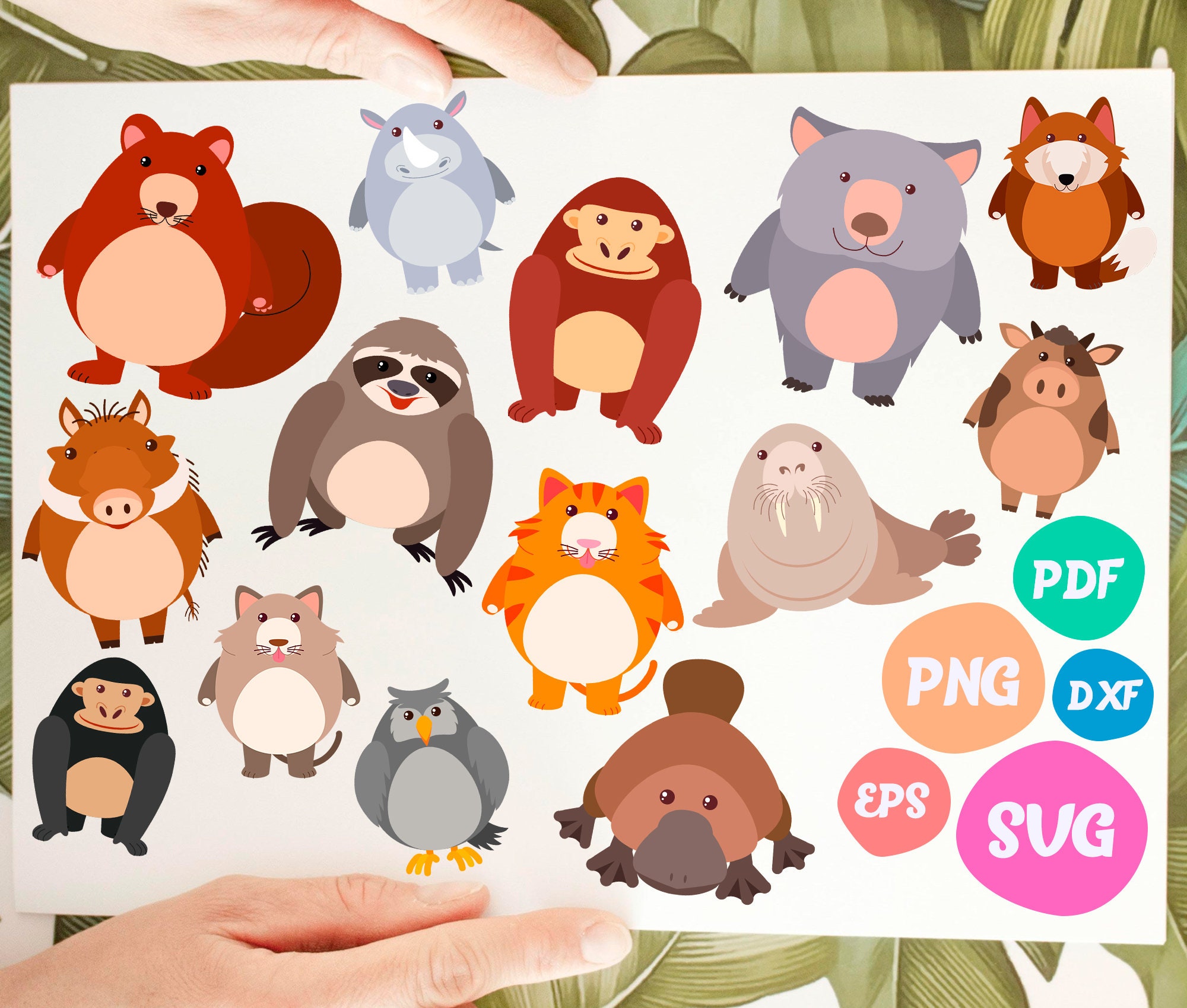 Fat Animals Svgcute Baby Animal Clipart Funny Animals Svg - Etsy Fat Animals Svgcute Baby Animal Clipart Funny Animals Svg - Etsy
