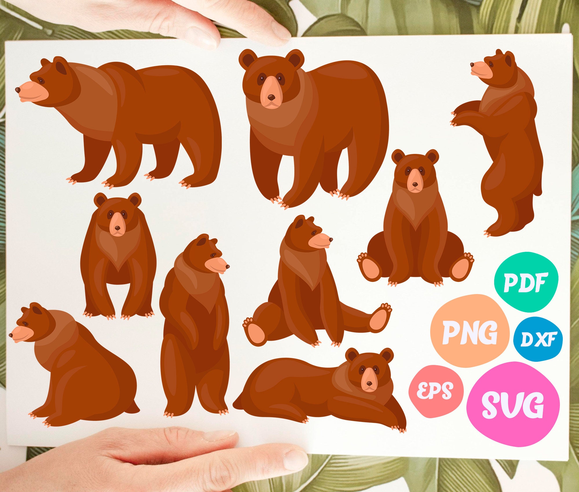 Bears Svg, Cute Bears Svg, Bear Svg, Animals Svg, Brown Bear Svg, Teddy