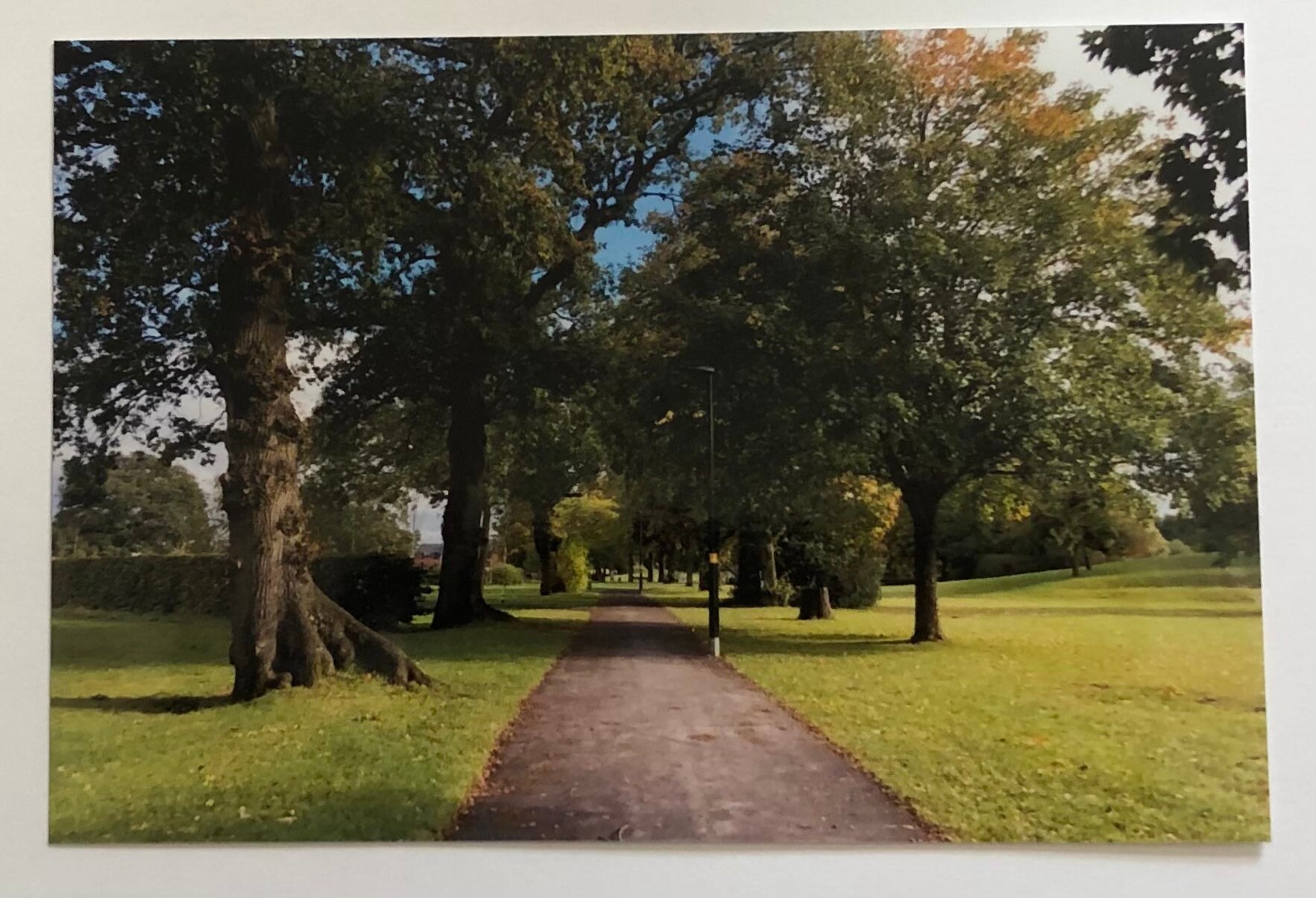 Shirley Park Birmingham in Autumn Etsy UK