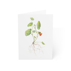 Midsummer Nasturtium Folded Greeting Cards - 10 pieces with Envelopes - Vertical