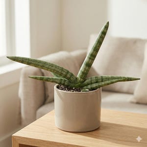 May include: A set of three ceramic mugs with a speckled, matte finish. Each mug features a different color: light blue, cream, and gray. The mugs have a simple, modern design and a comfortable handle.