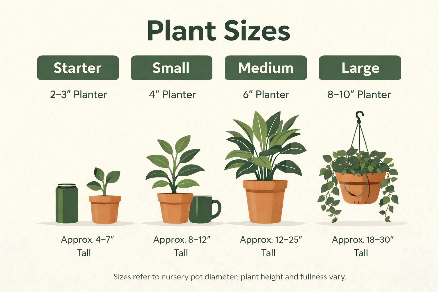 Low Light Houseplant Bundle - 4 Plant Variety Pack - Easy Care, Low Light  Friendly - Etsy