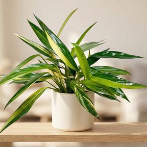 plant stand indoor tall VECELO 65