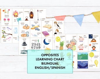 Learn Spanish | Opposites Chart Learning Activity | Bilingual Spanish English | learning homeschool education