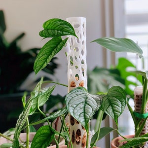 Voro Pole - 3D Printed Moss Pole