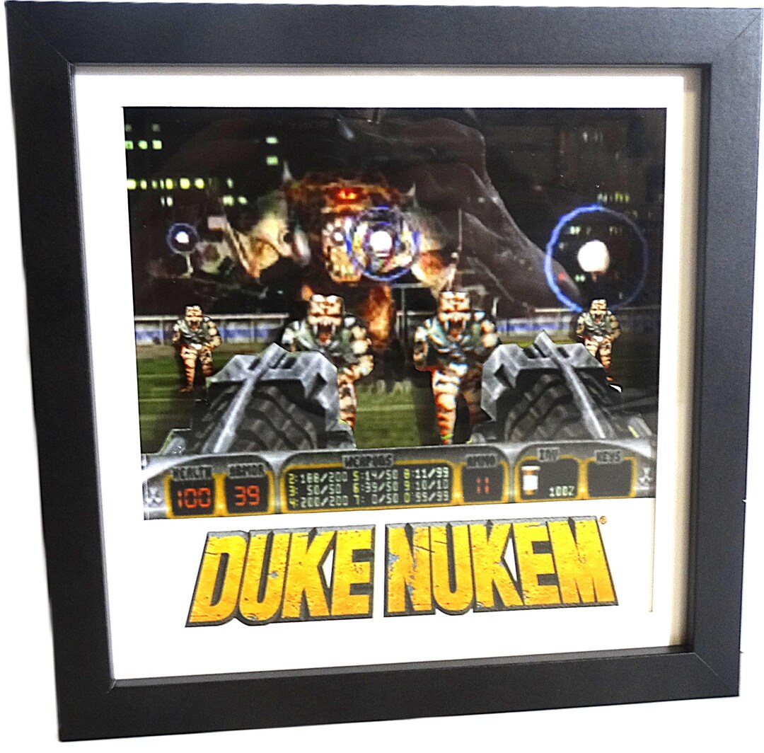 Duke Nukem Stadium Battle 3D Shadow Box - Etsy