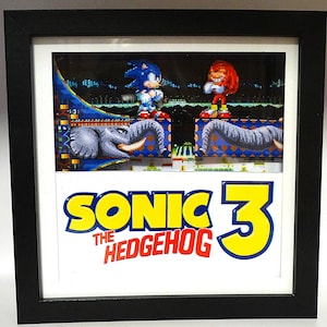 Sonic The Hedgehog 3d Shadow Box Sonic & Knuckles At The Balloon Park
