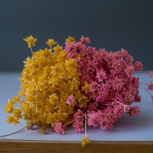 Build your own dried flower bouquet, letterbox, free postage, quick dispatch