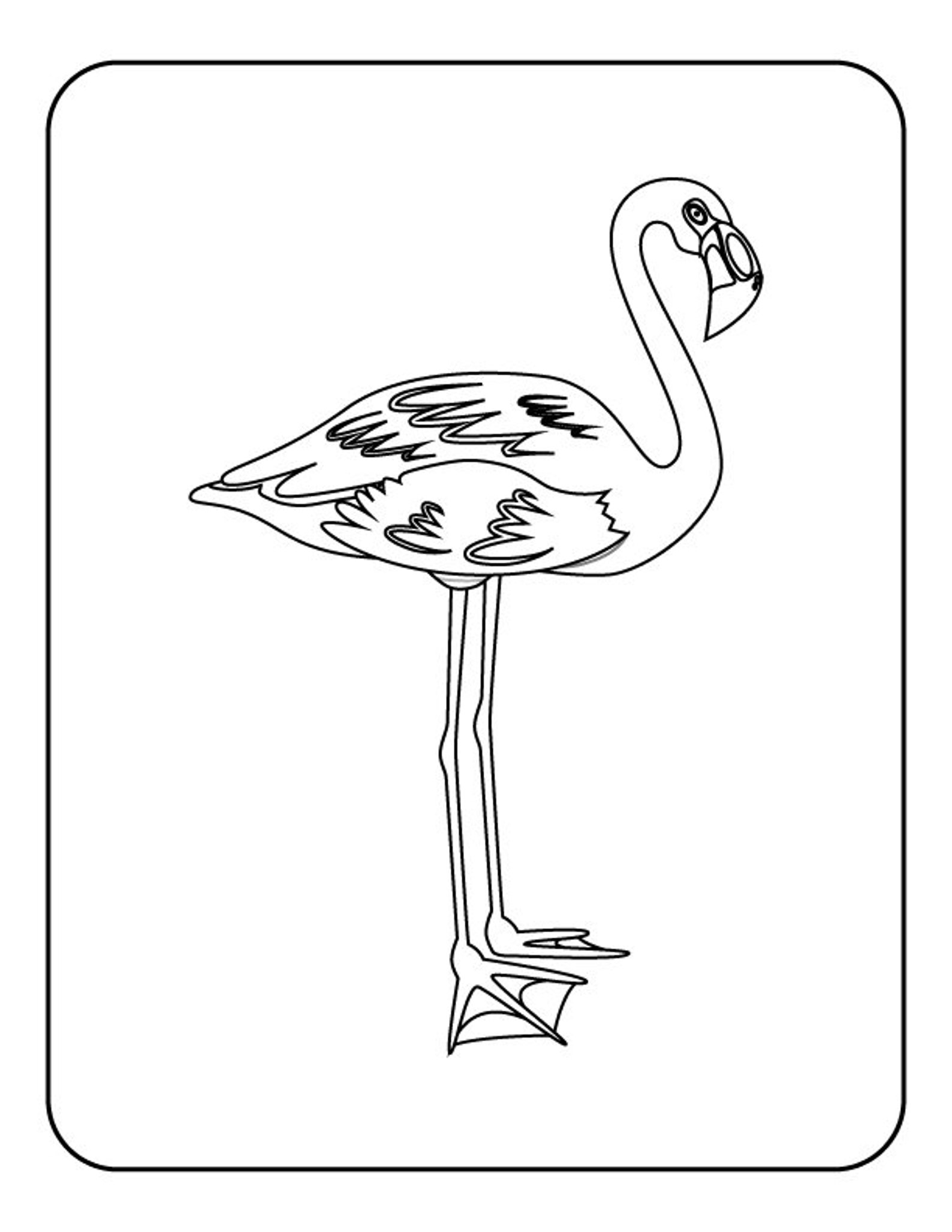 Favorite Birds Coloring Pages Printable | Etsy